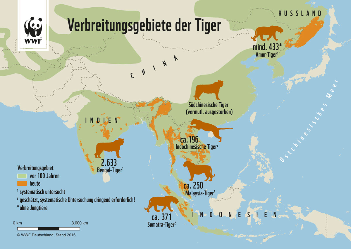 Verbreitung der Tiger (Quelle: WWF)