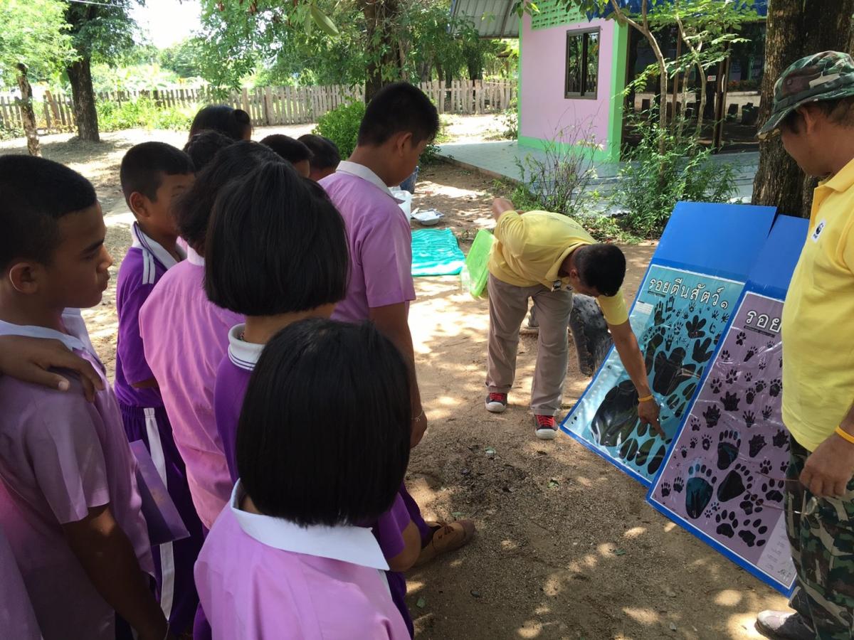  Tigerschutz-Kampagnen in Schulen