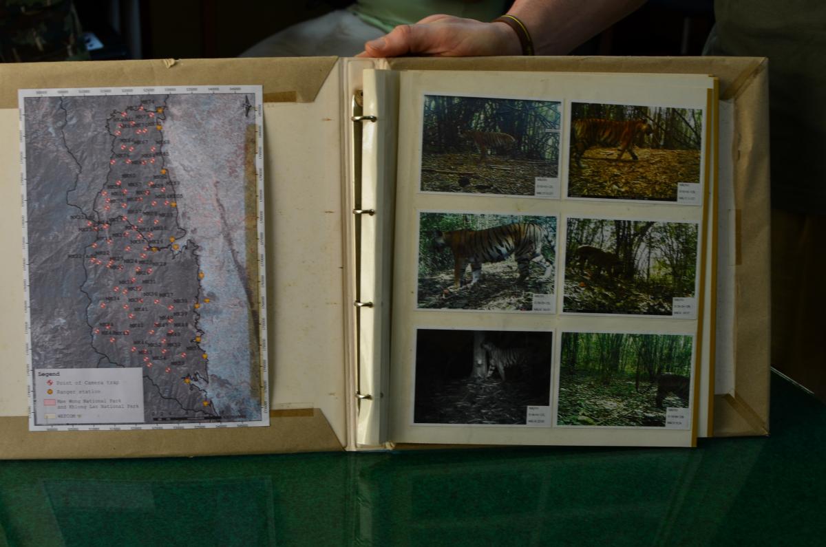 Auswertung Kamerafallenbilder