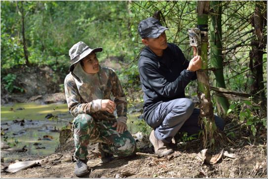 Wildhüter in Umphang: Kamerafalle